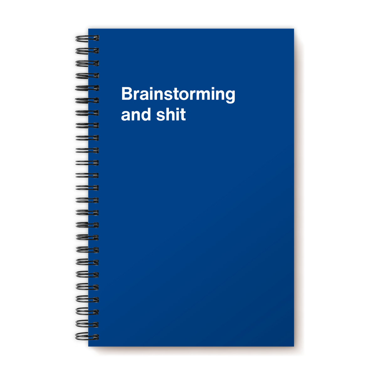 A funny notebook from WTF Notebooks® entitled "Brainstorming and shit"