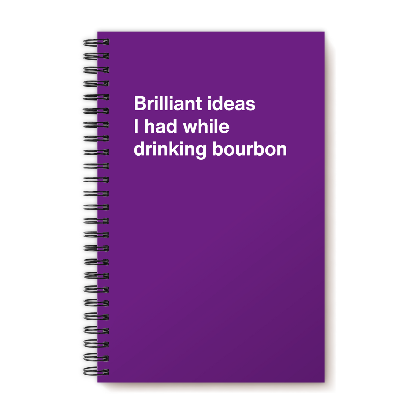 A funny notebook from WTF Notebooks® entitled "Brilliant ideas I had while drinking bourbon"