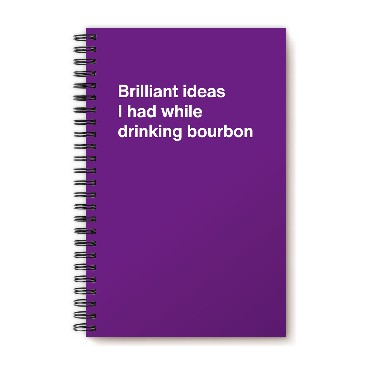 A funny notebook from WTF Notebooks® entitled "Brilliant ideas I had while drinking bourbon"