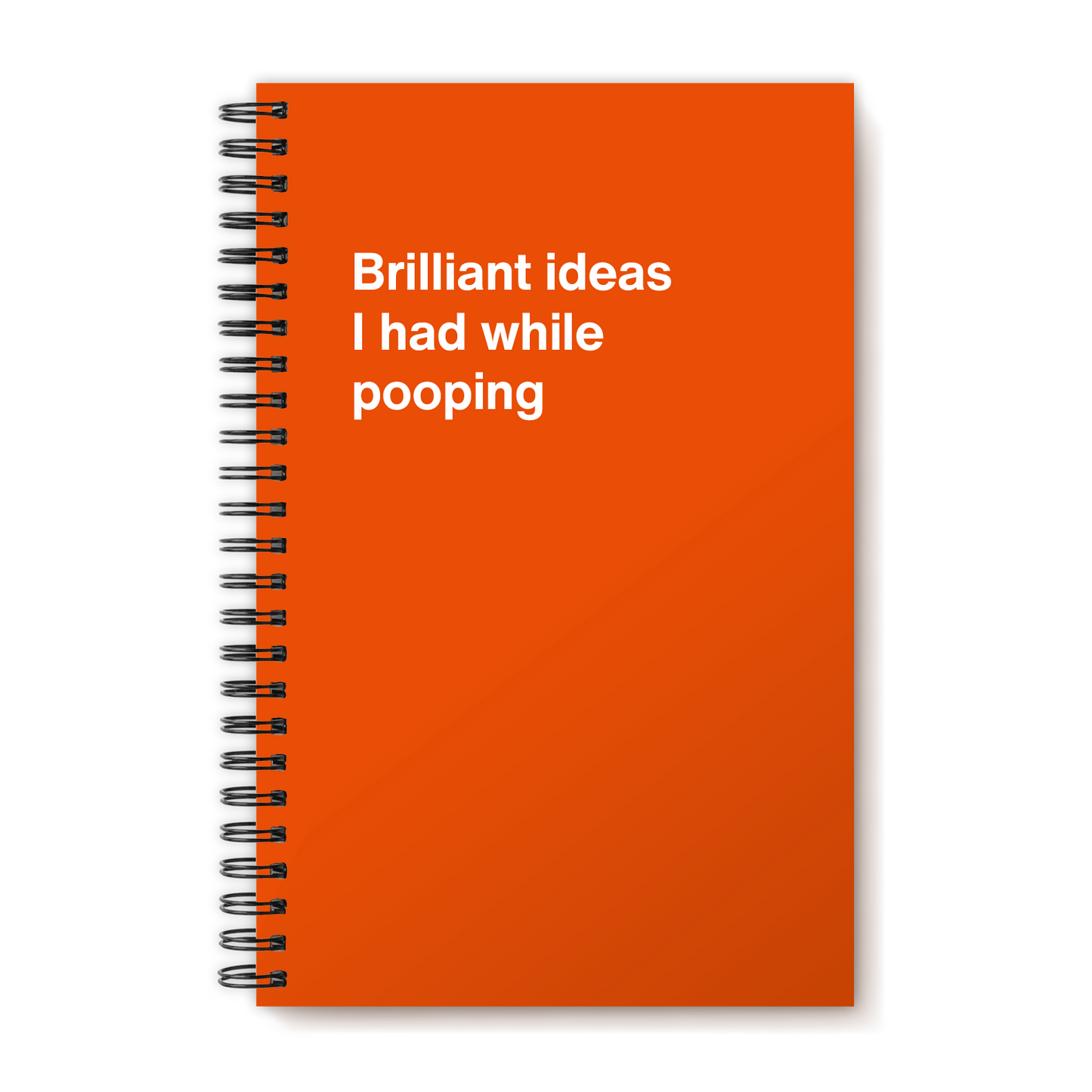 A funny notebook from WTF Notebooks® entitled "Brilliant ideas I had while pooping"