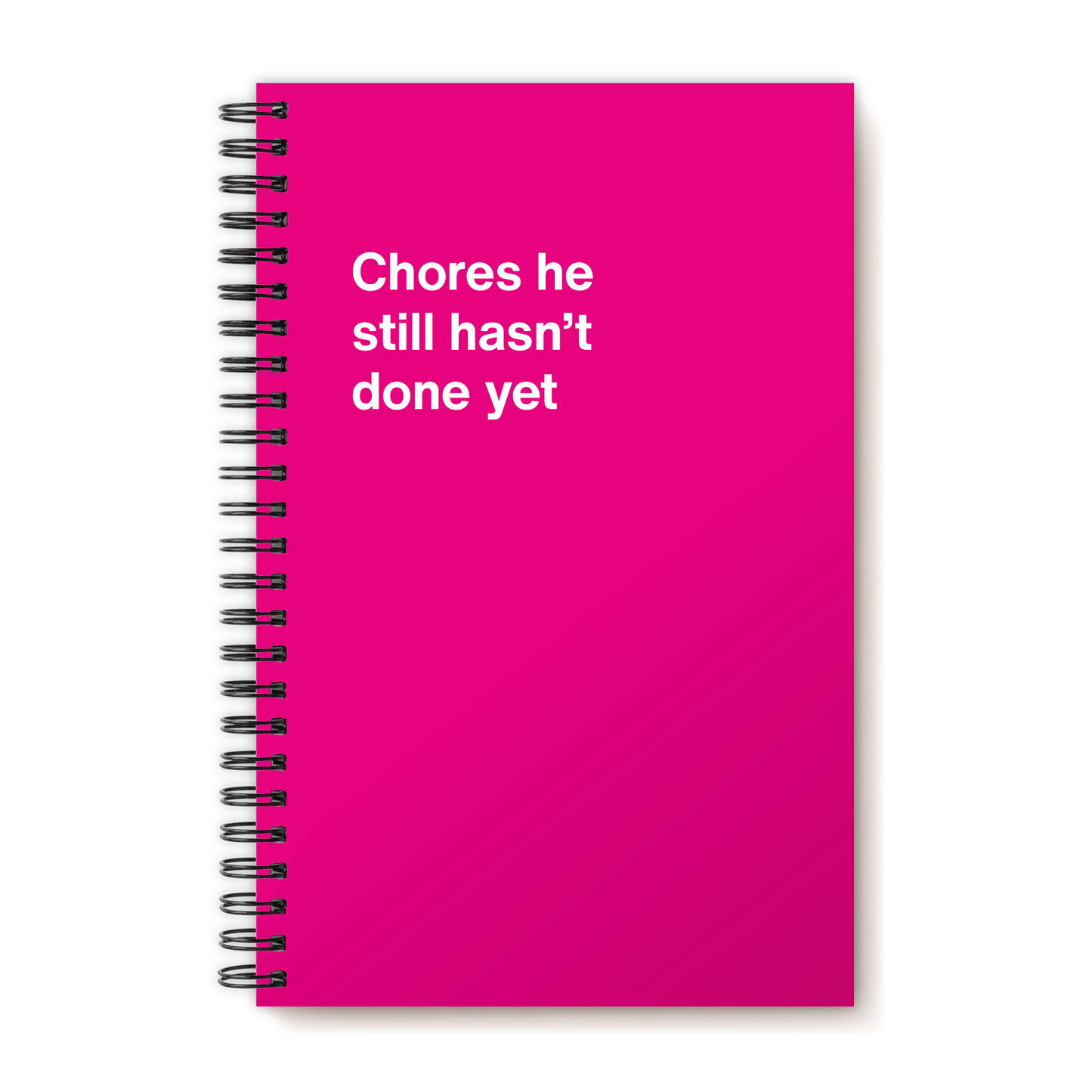A funny notebook from WTF Notebooks® entitled "Chores he still hasn’t done yet"