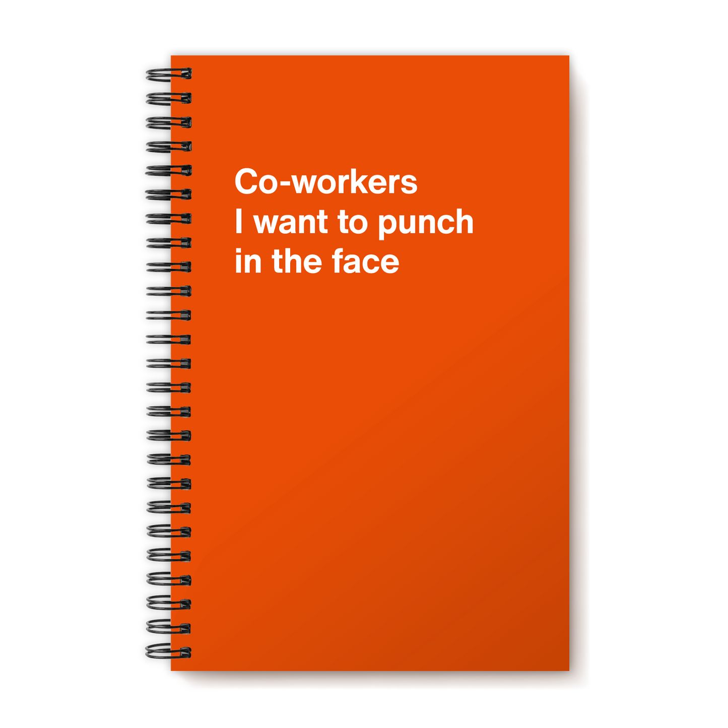 A funny notebook from WTF Notebooks® entitled "Co-workers I want to punch in the face"