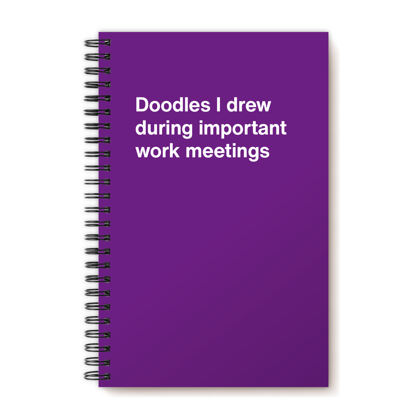 A funny notebook from WTF Notebooks® entitled "Doodles I drew during important work meetings"