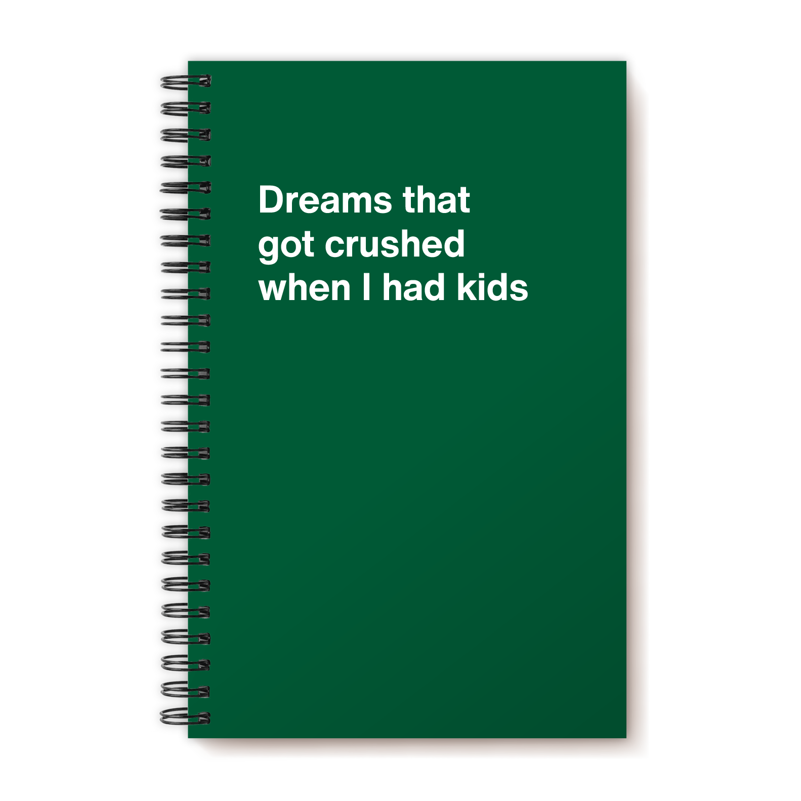 Dreams that got crushed when I had kids | WTF Notebooks