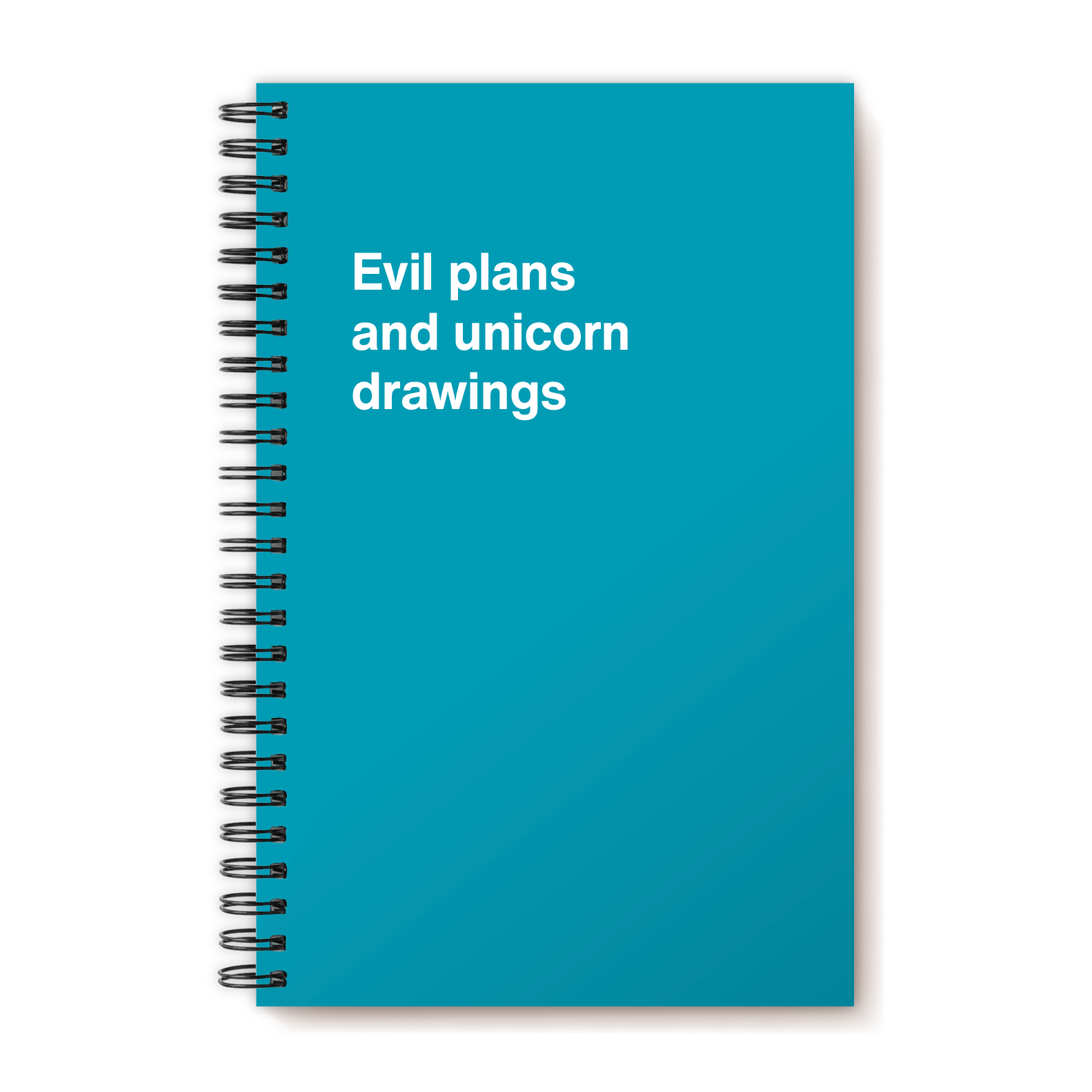 Evil plans and unicorn drawings | WTF Notebooks
