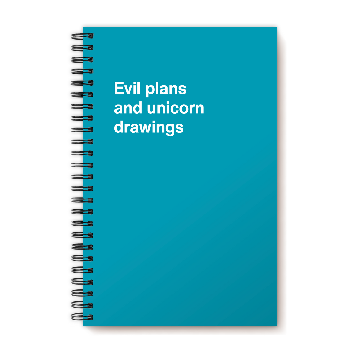A funny notebook from WTF Notebooks® entitled "Evil plans and unicorn drawings"