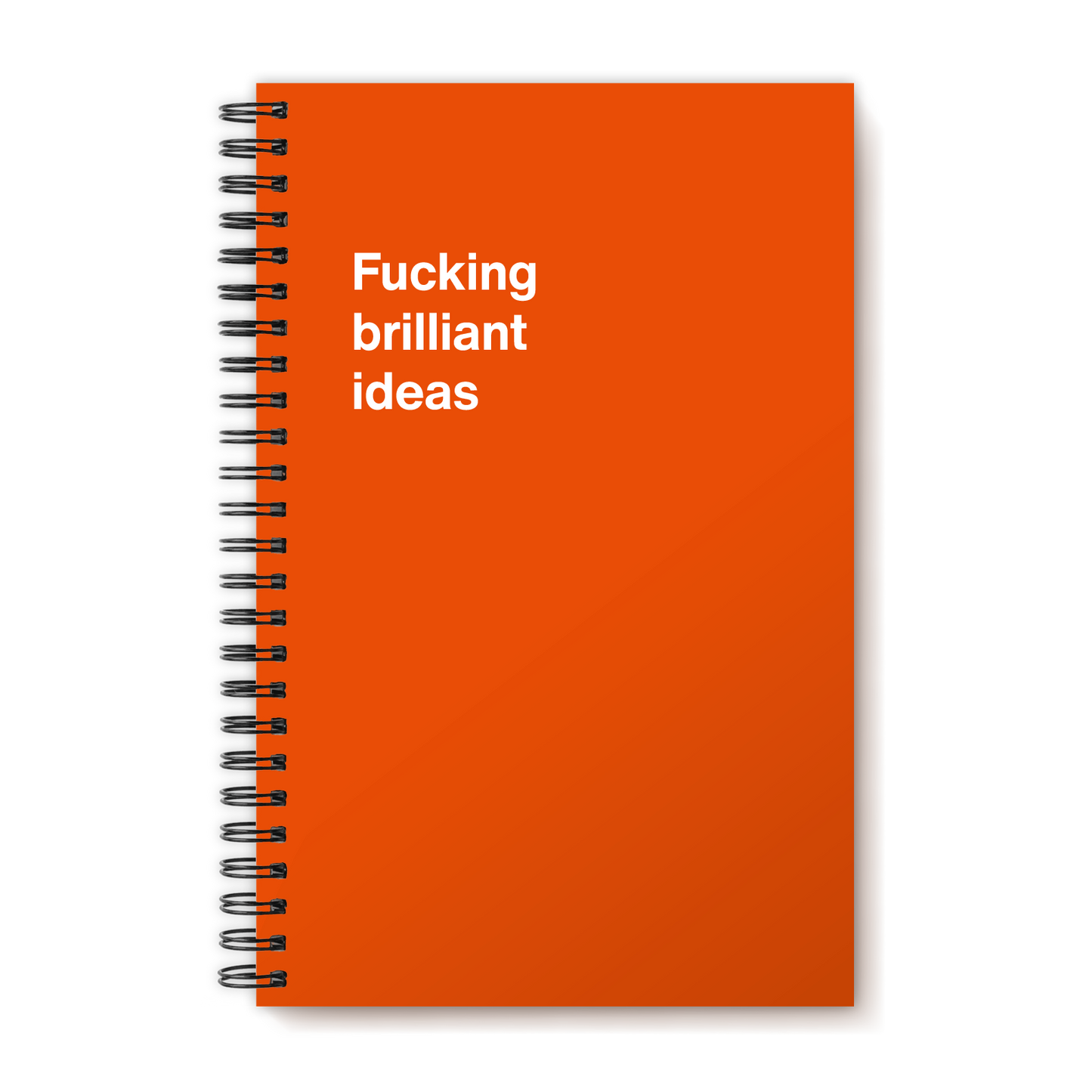 A funny notebook from WTF Notebooks® entitled "Fucking brilliant ideas"