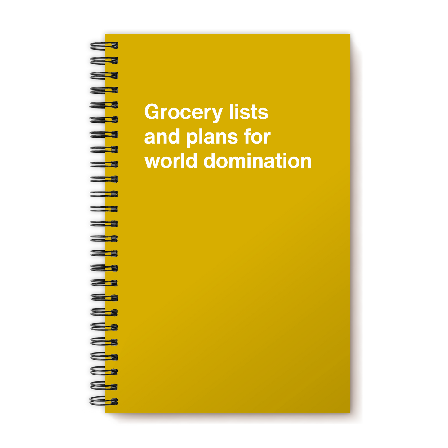 A funny notebook from WTF Notebooks® entitled "Grocery lists and plans for world domination"