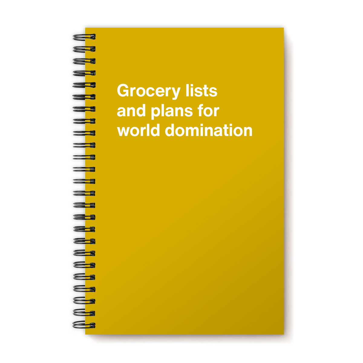 A funny notebook from WTF Notebooks® entitled "Grocery lists and plans for world domination"