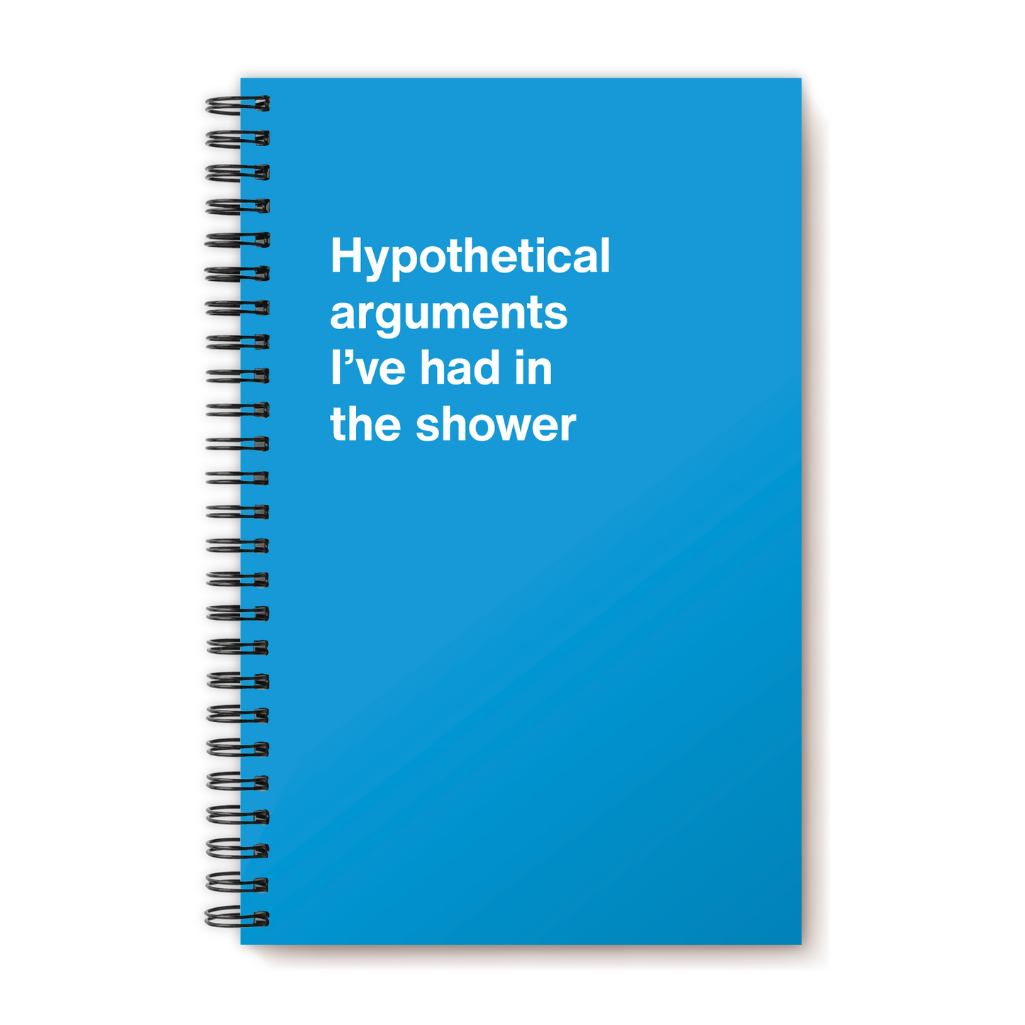 A funny notebook from WTF Notebooks® entitled "Hypothetical arguments I’ve had in the shower"