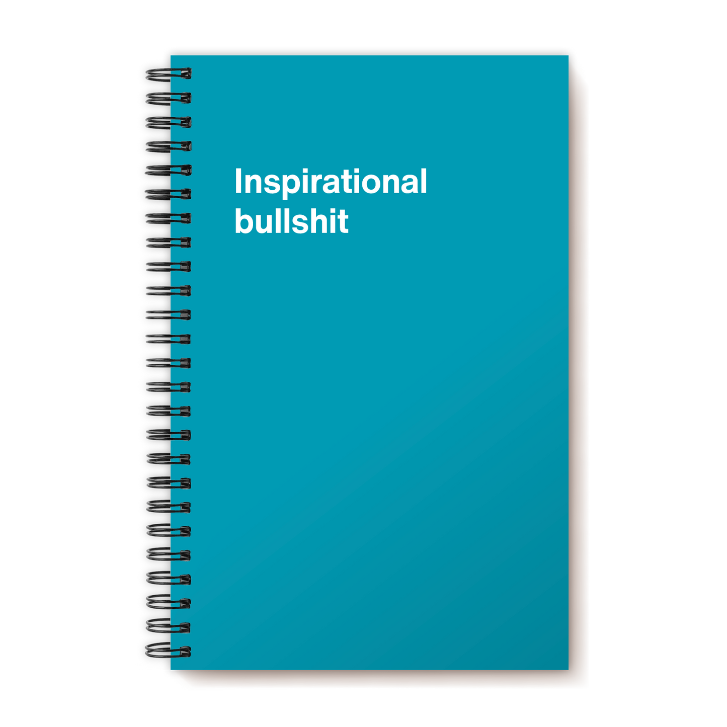 A funny notebook from WTF Notebooks® entitled "Inspirational bullshit"