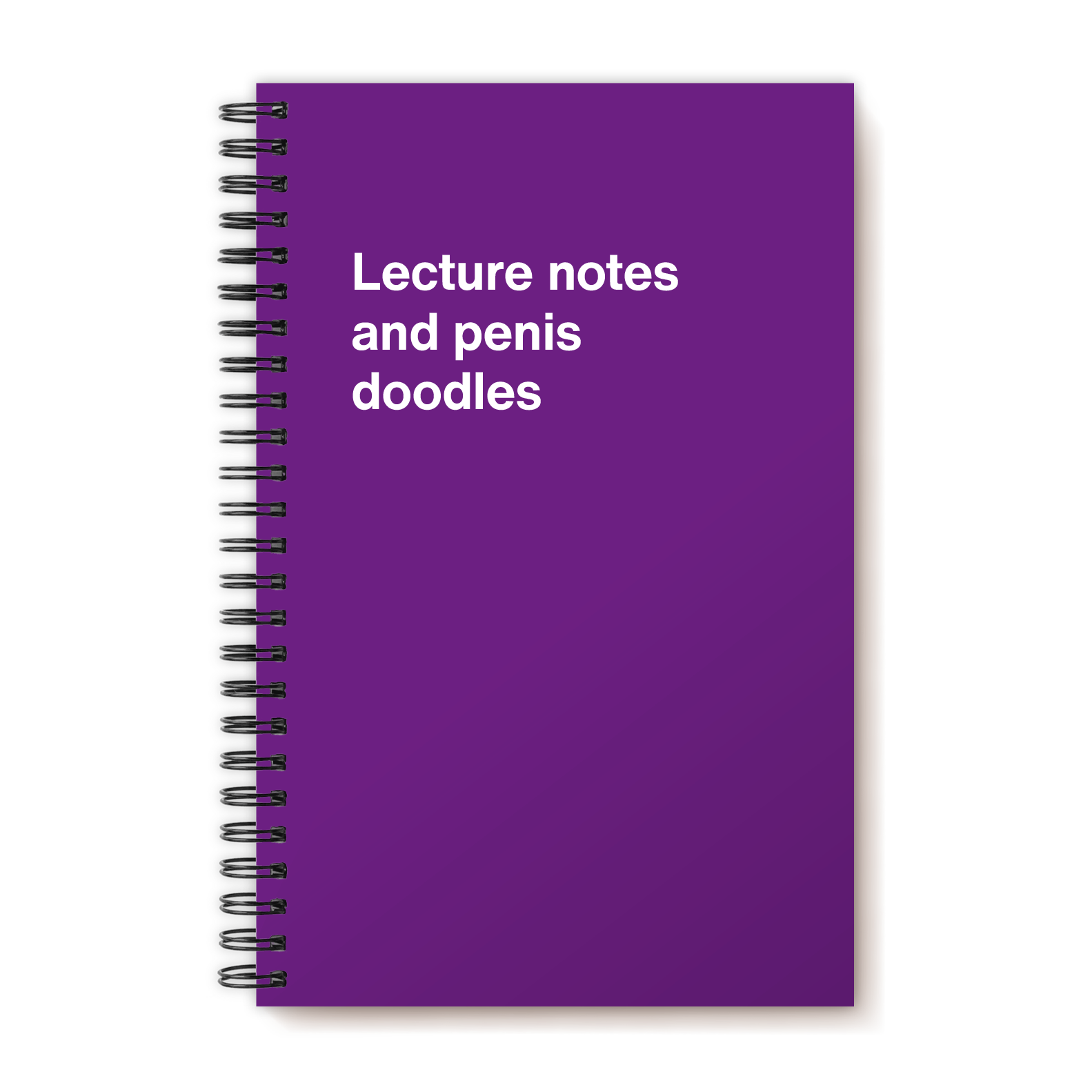 Lecture notes and penis doodles | WTF Notebooks