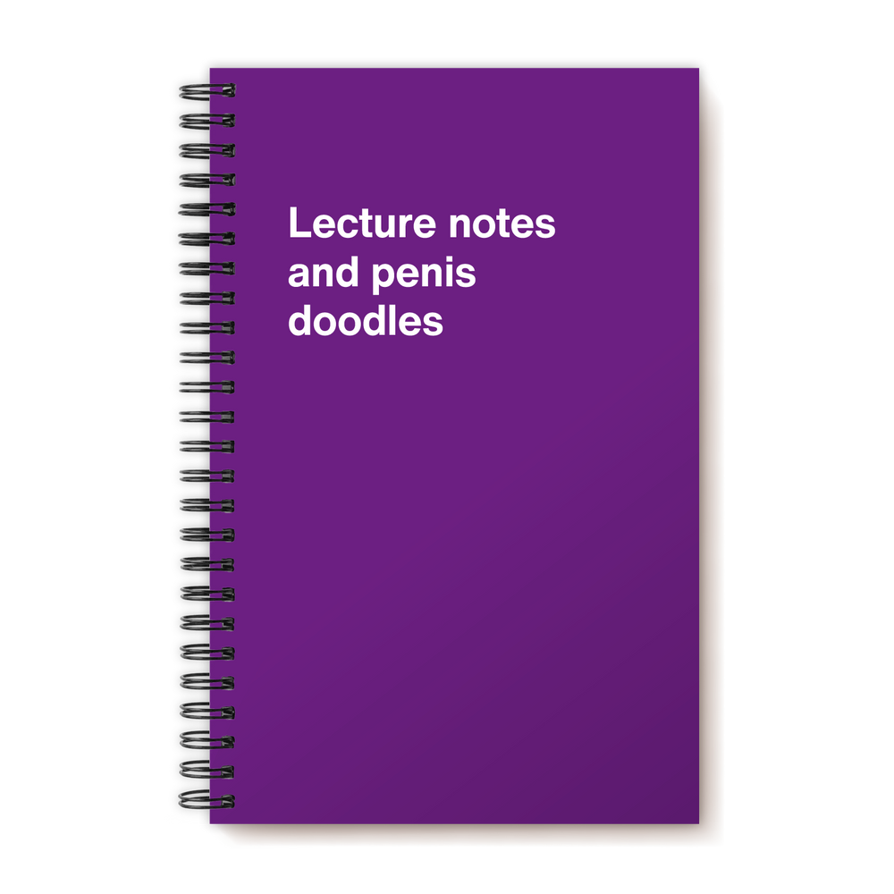 A funny notebook from WTF Notebooks® entitled 