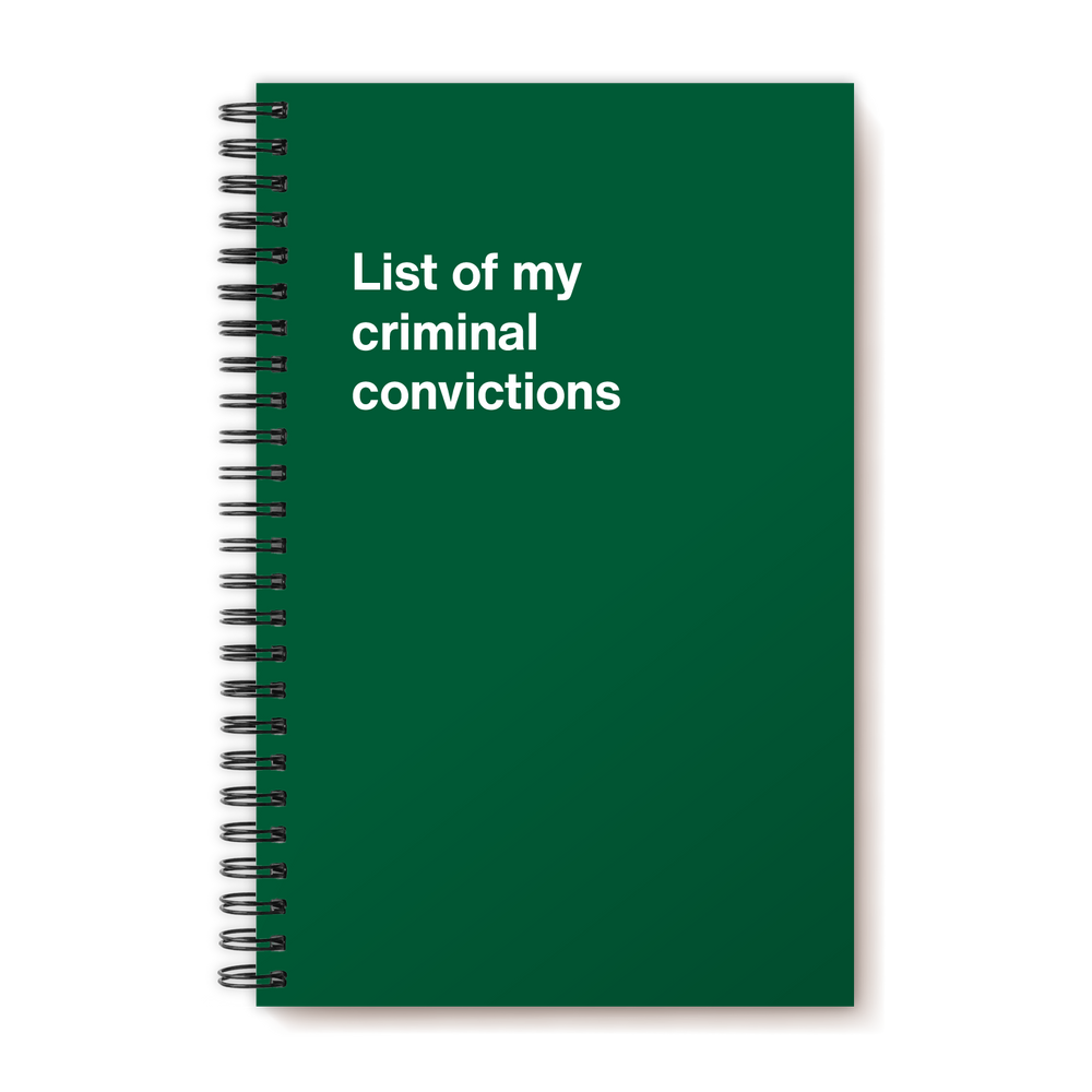 A funny notebook from WTF Notebooks® entitled 