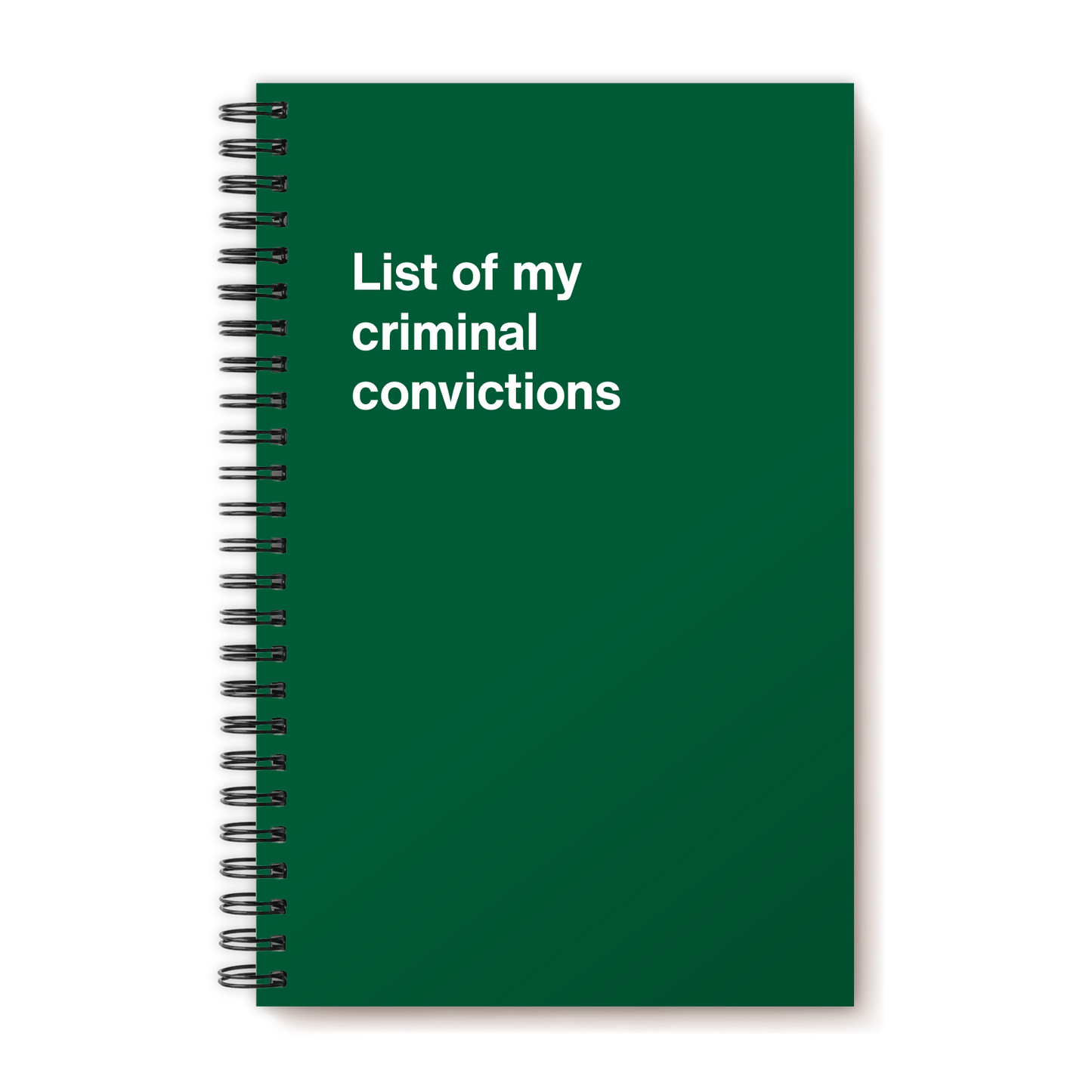 A funny notebook from WTF Notebooks® entitled "List of my criminal convictions"