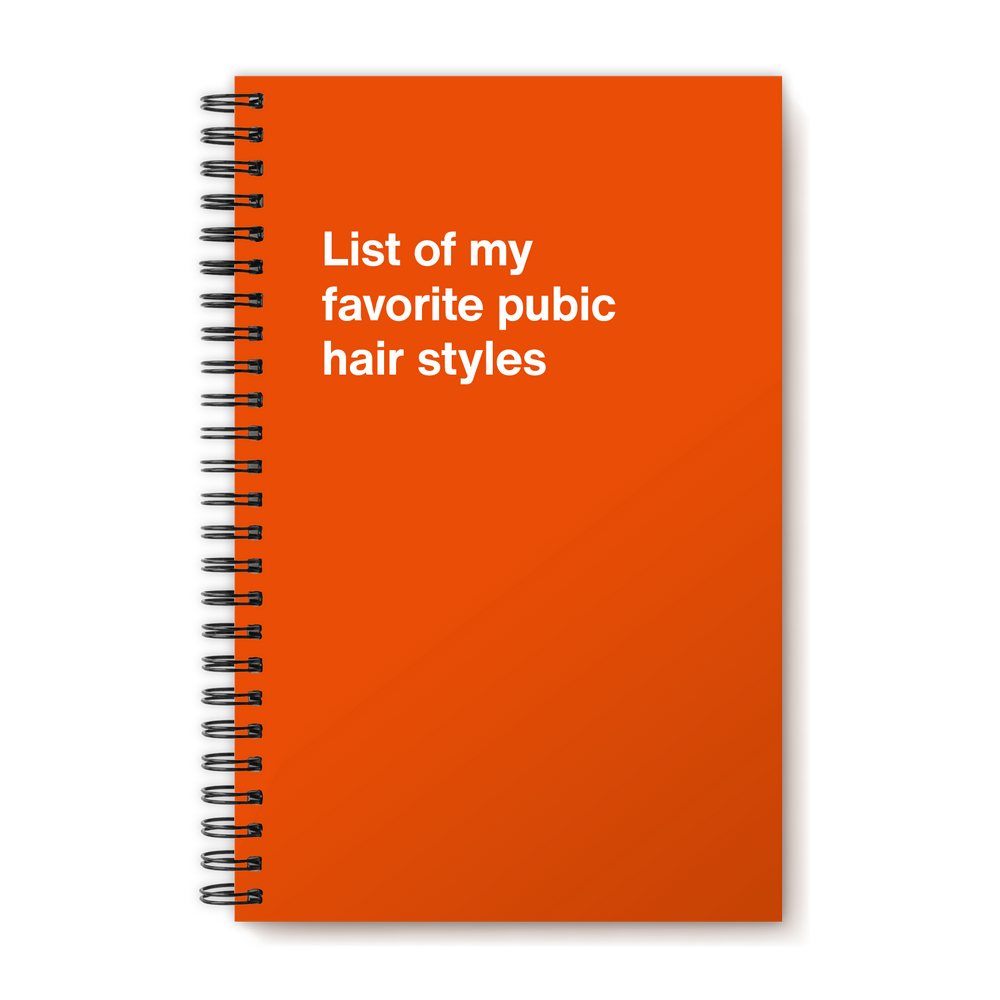 A funny notebook from WTF Notebooks® entitled 