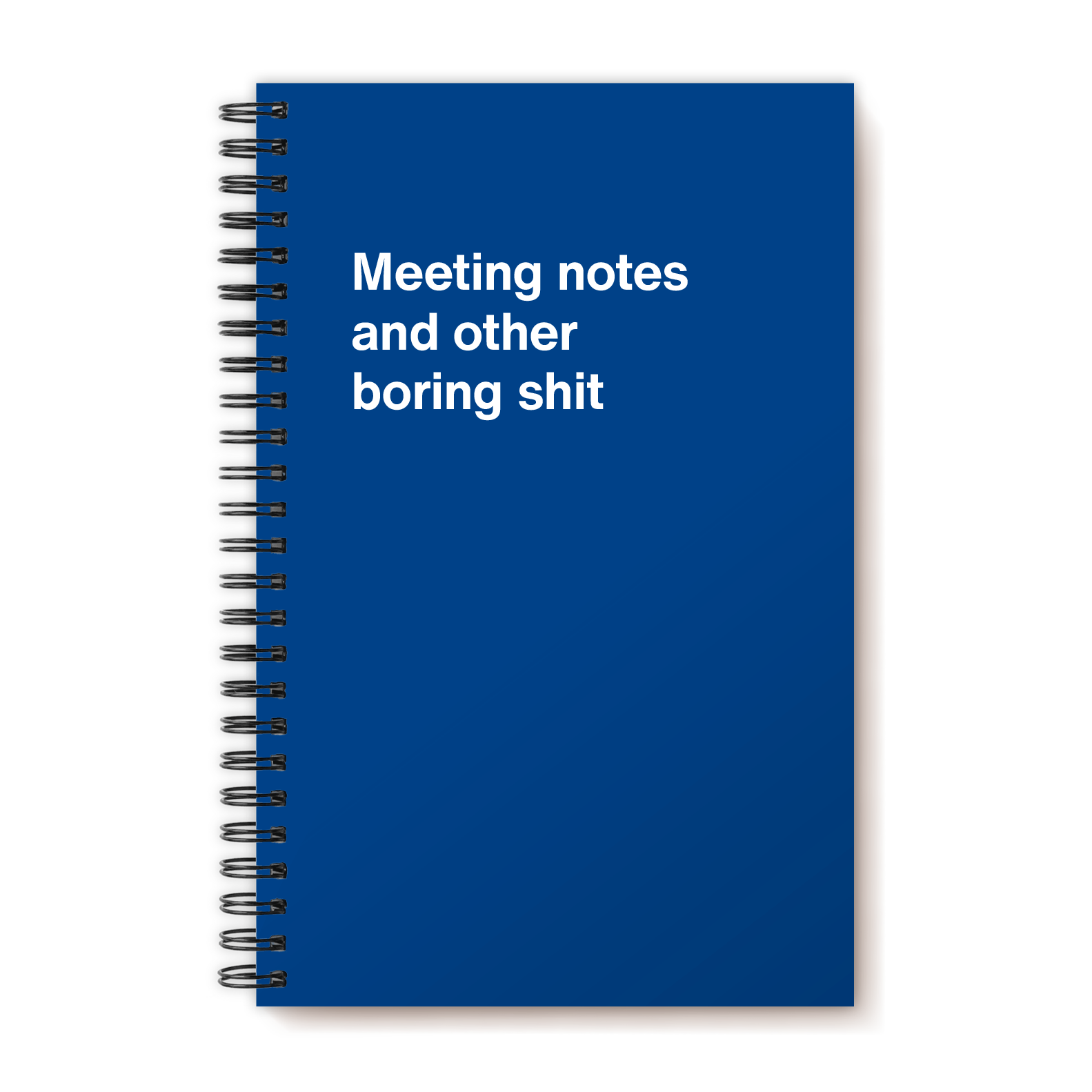 Meeting notes and other boring shit | WTF Notebooks