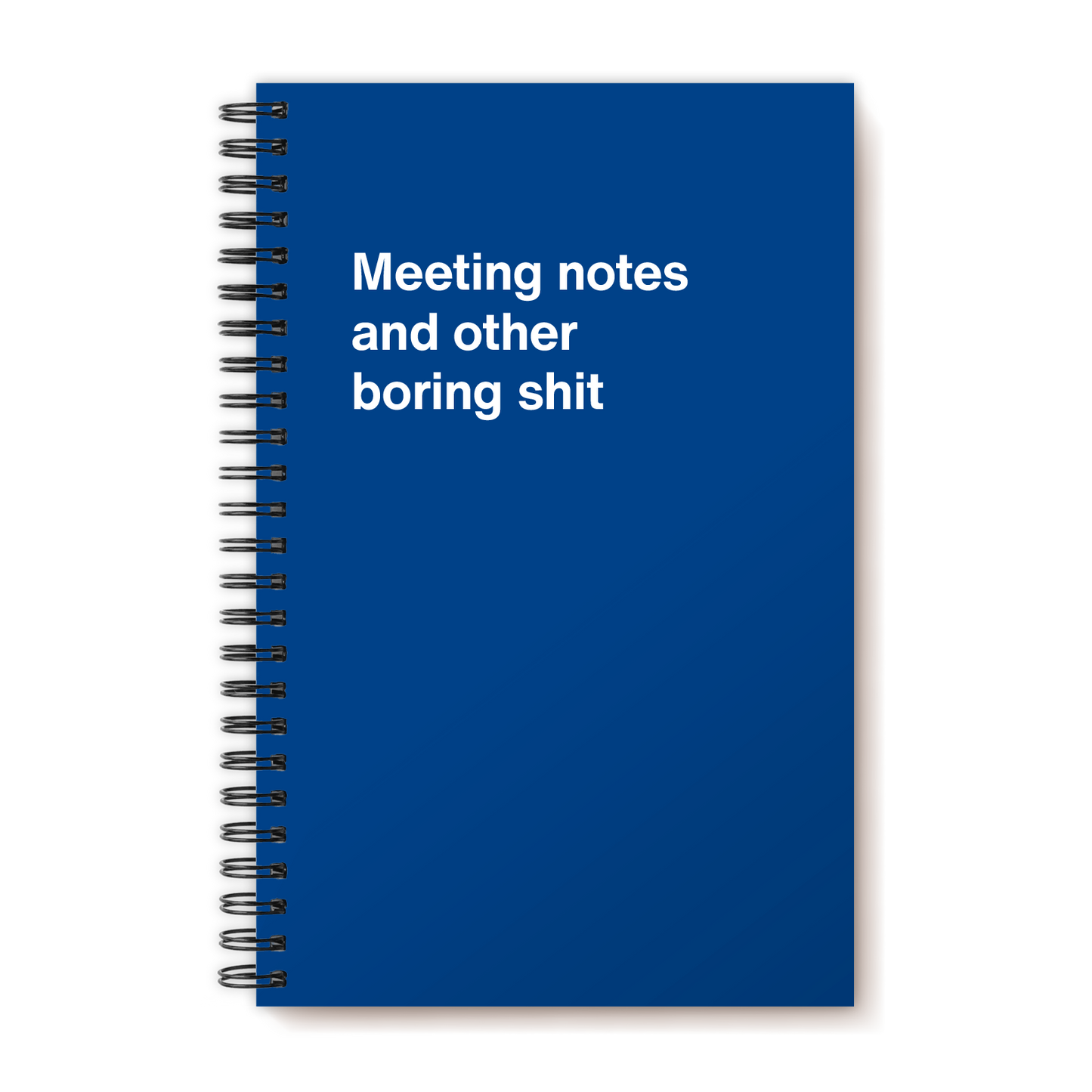 A funny notebook from WTF Notebooks® entitled "Meeting notes and other boring shit"