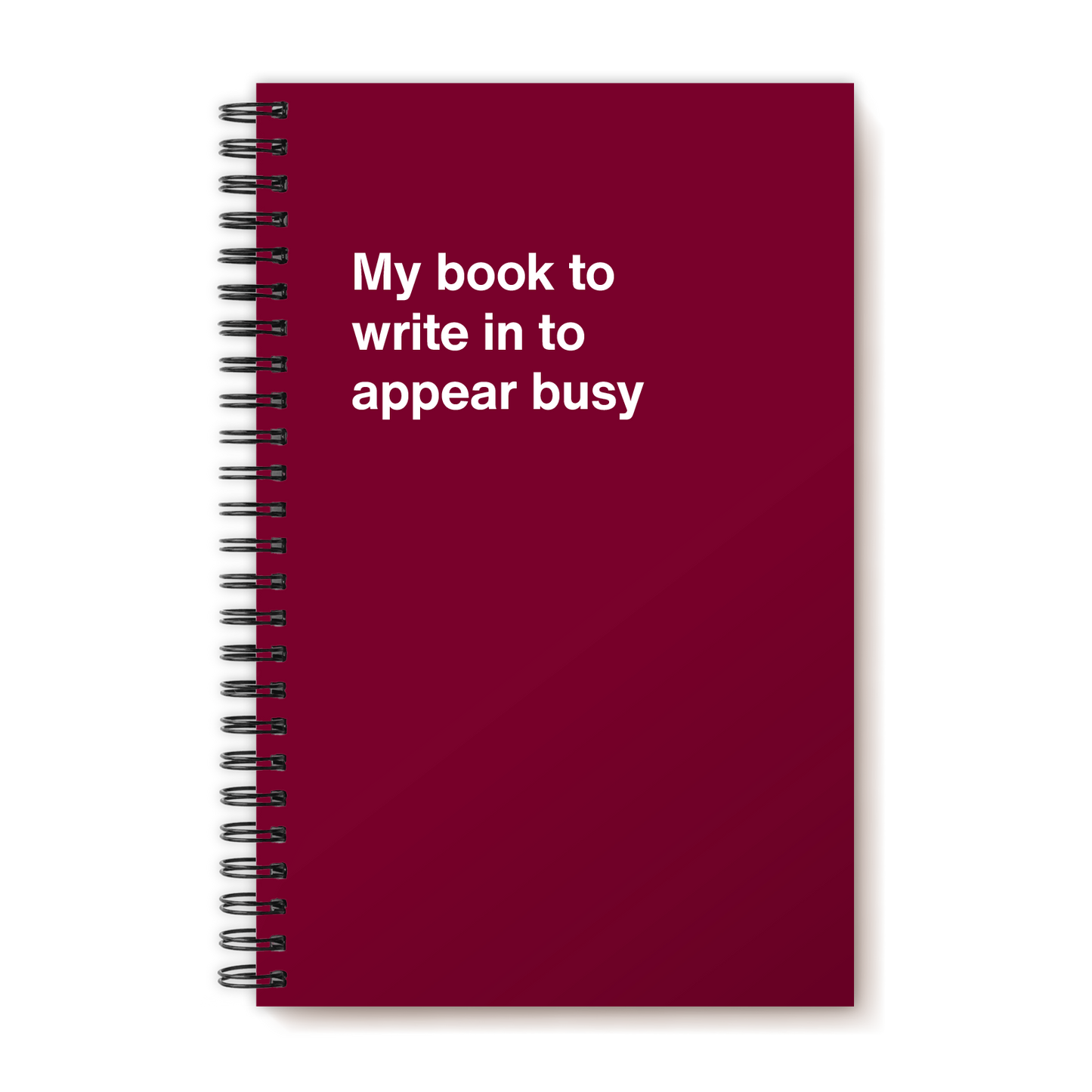 
                  
                    A funny notebook from WTF Notebooks® entitled "My book to write in to appear busy"
                  
                