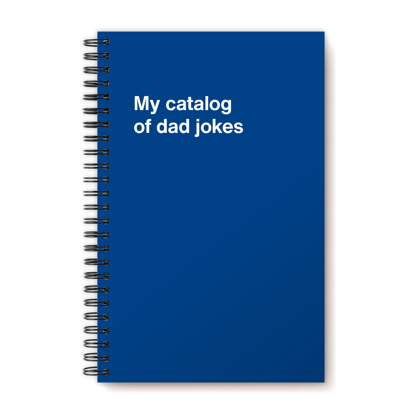 A funny notebook from WTF Notebooks® entitled "My catalog of dad jokes"