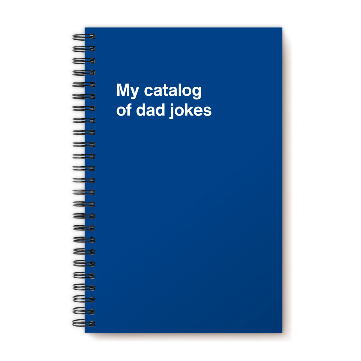 A funny notebook from WTF Notebooks® entitled "My catalog of dad jokes"