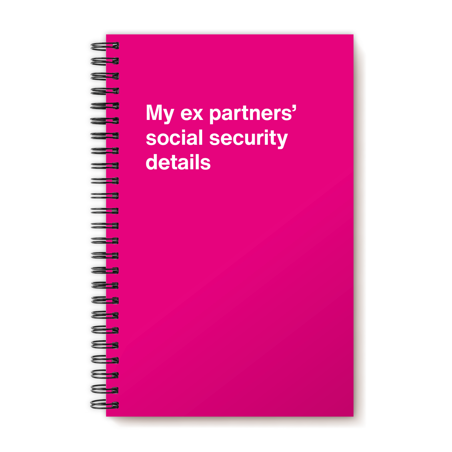 My ex partners' social security details | WTF Notebooks