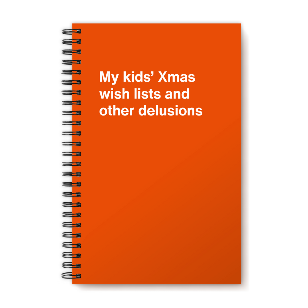 My kids' Xmas wish lists and other delusions | WTF Notebooks