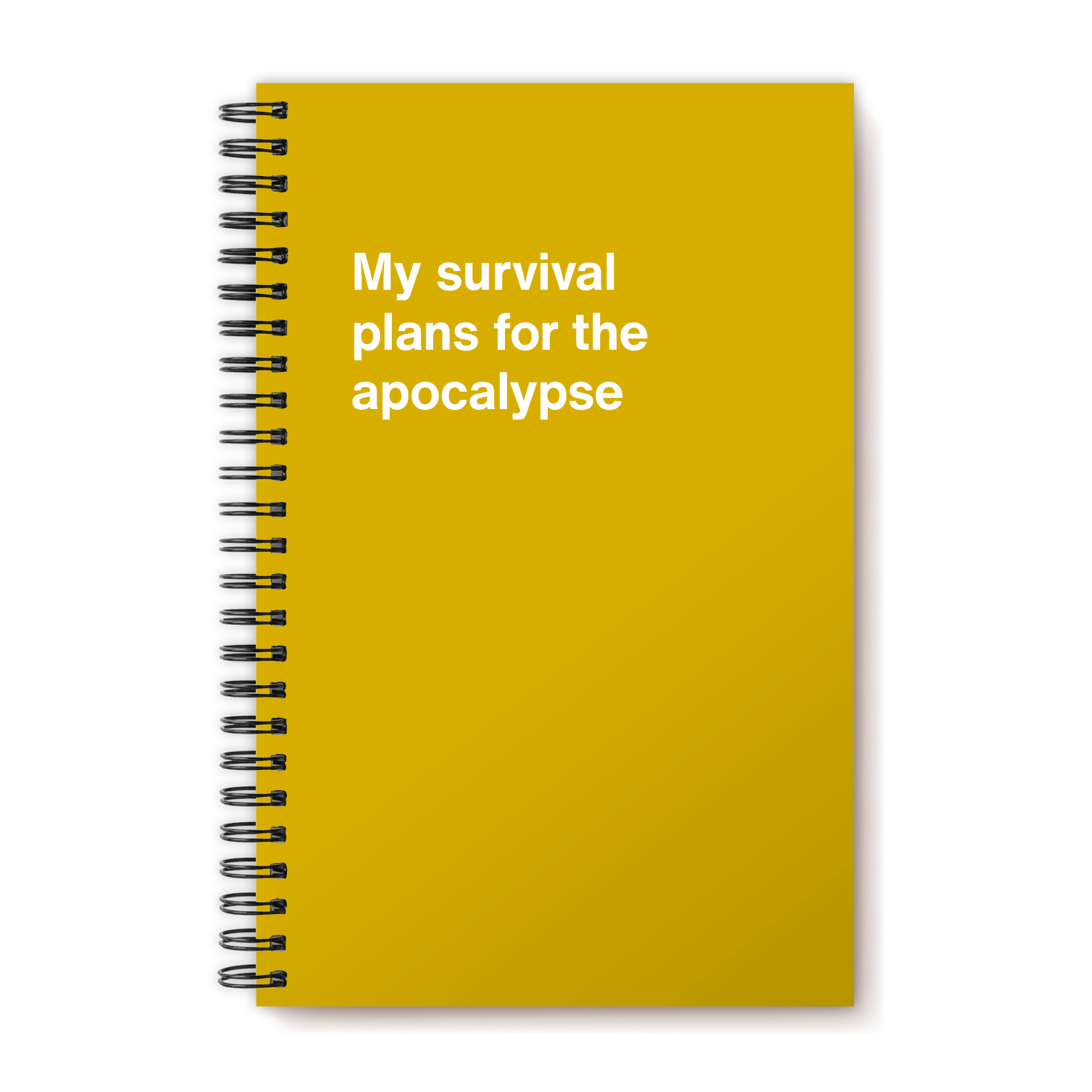 My survival plans for the apocalypse | WTF Notebooks