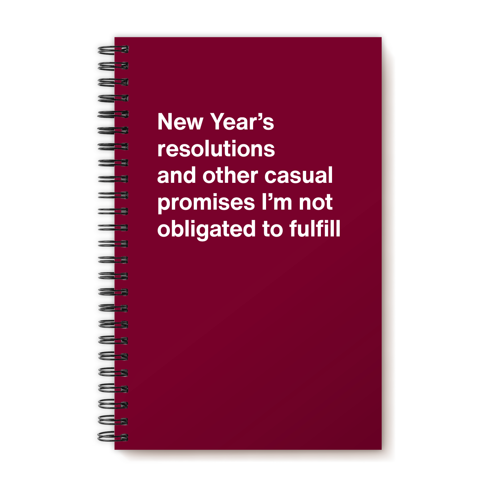 New Year’s resolutions and other casual promises I’m not obligated to fulfill | WTF Notebooks