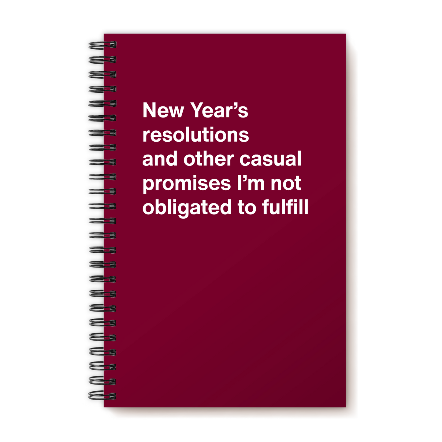 A funny notebook from WTF Notebooks® entitled "New Year’s resolutions and other casual promises I’m not obligated to fulfill"