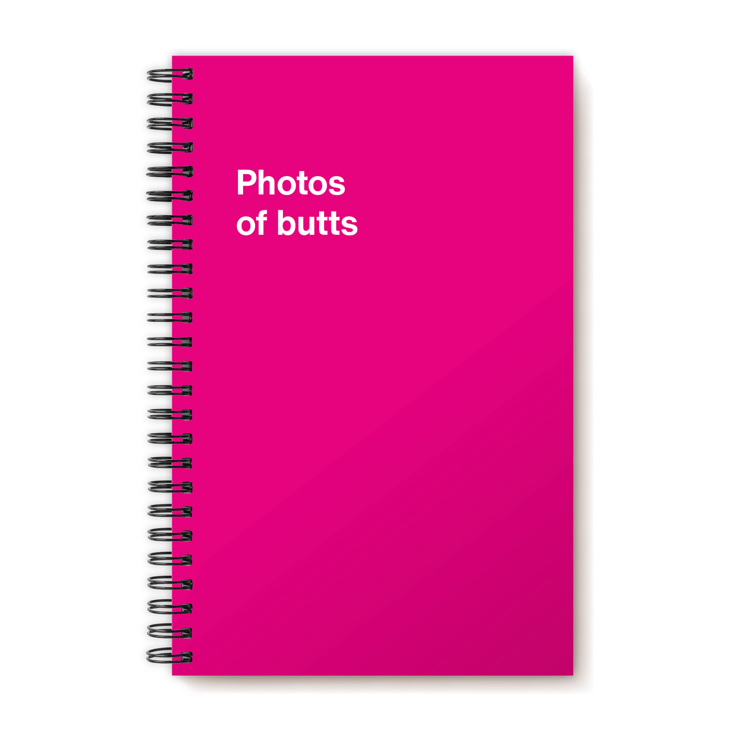 A funny notebook from WTF Notebooks® entitled "Photos of butts"