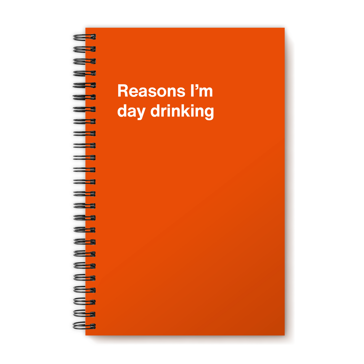A funny notebook from WTF Notebooks® entitled "Reasons I’m day drinking"