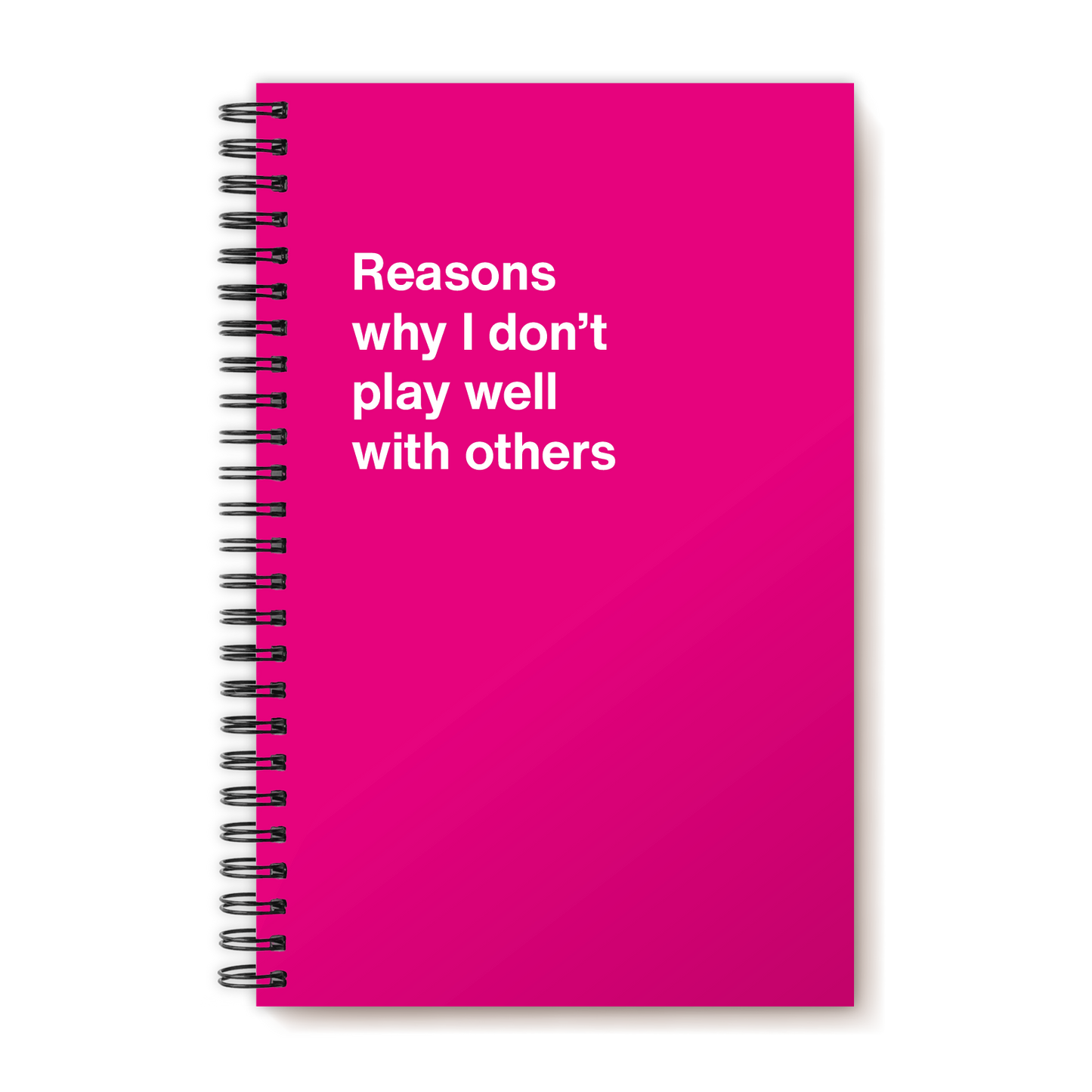A funny notebook from WTF Notebooks® entitled "Reasons why I don’t play well with others"
