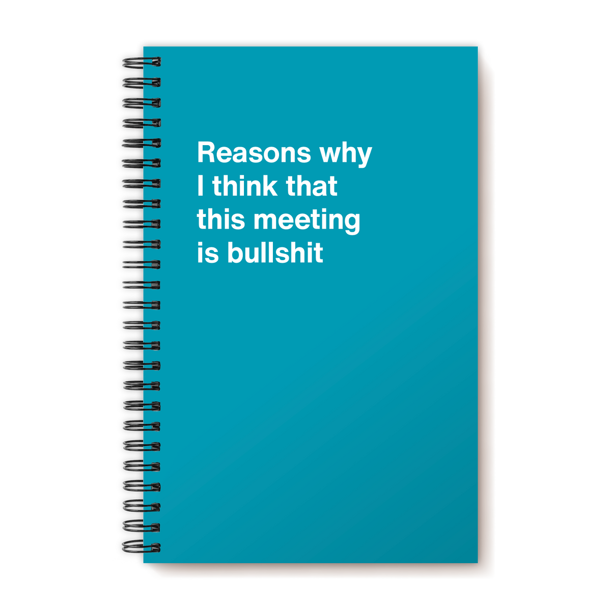 A funny notebook from WTF Notebooks® entitled "Reasons why I think that this meeting is bullshit"