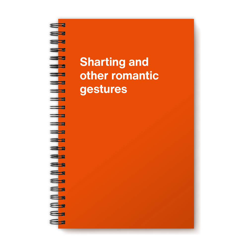 A funny notebook from WTF Notebooks® entitled 
