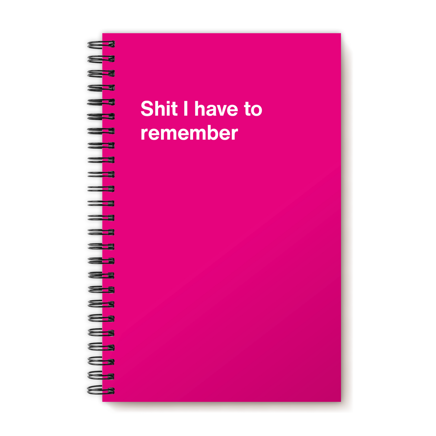 A funny notebook from WTF Notebooks® entitled "Shit I have to remember"