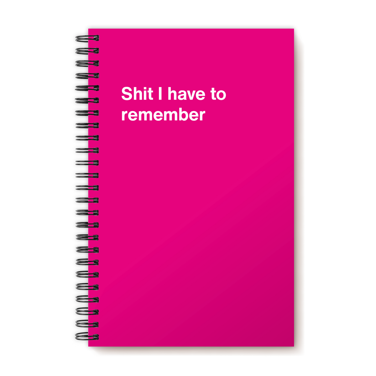 A funny notebook from WTF Notebooks® entitled "Shit I have to remember"