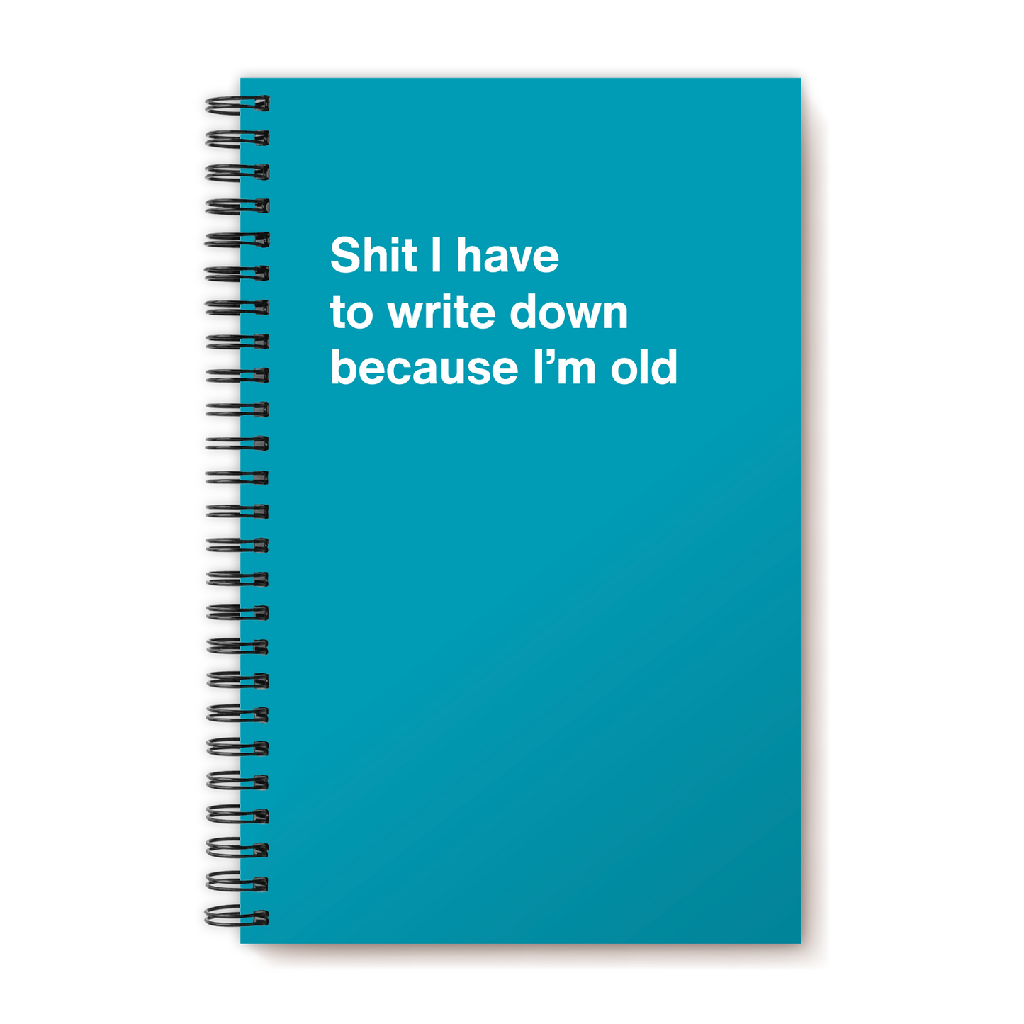 A funny notebook from WTF Notebooks® entitled "Shit I have to write down because I’m old"
