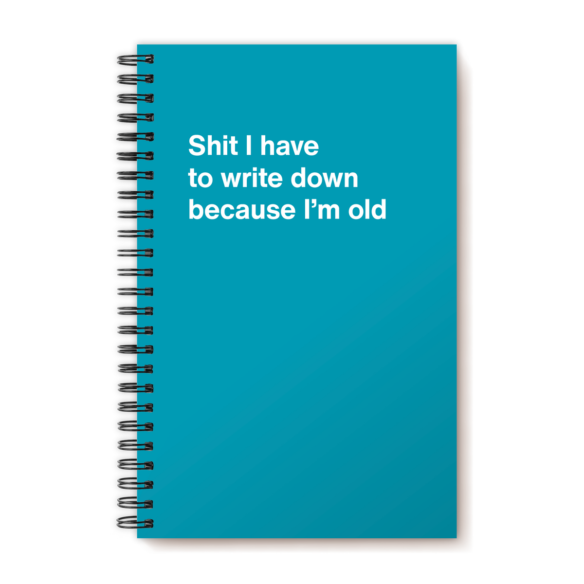A funny notebook from WTF Notebooks® entitled "Shit I have to write down because I’m old"