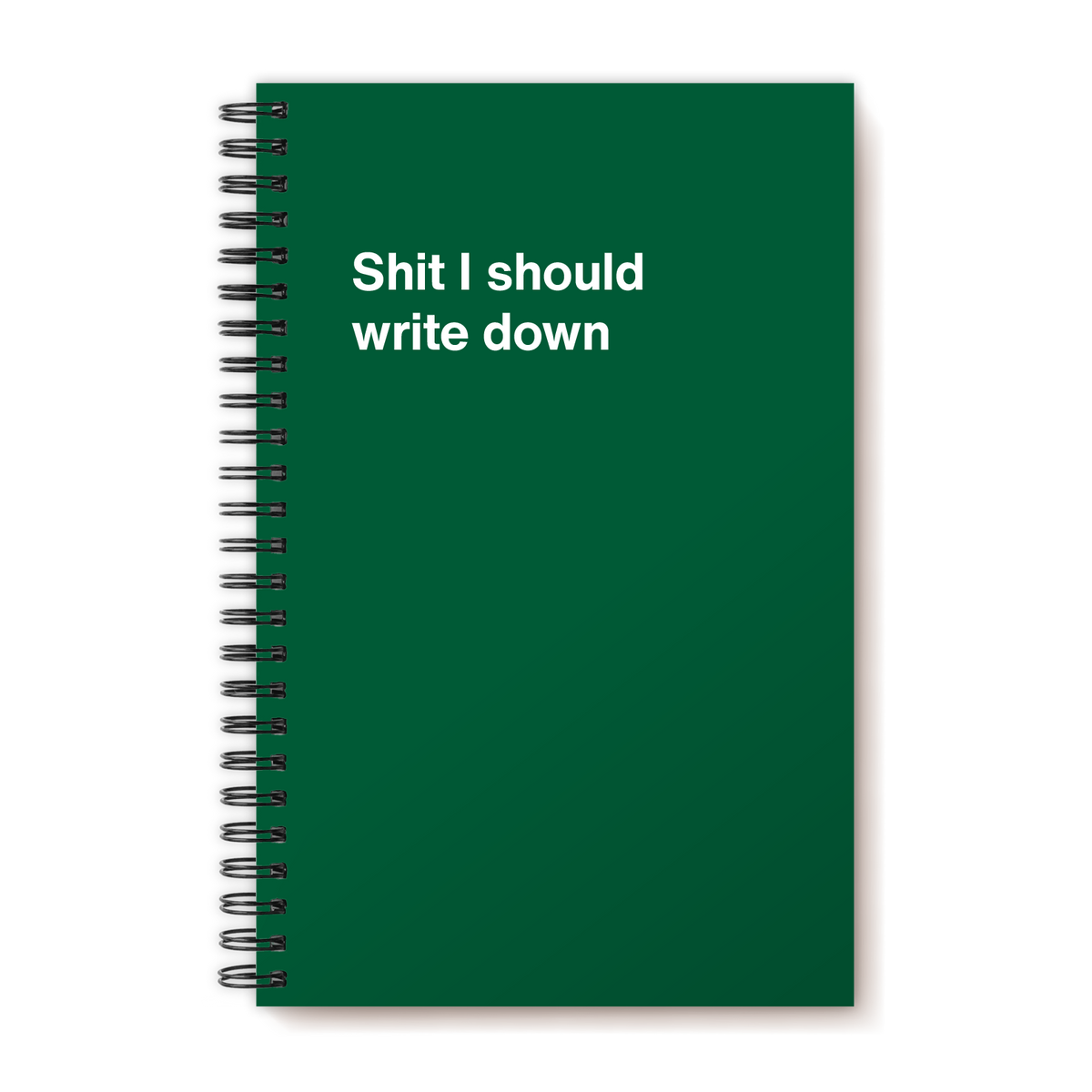 A funny notebook from WTF Notebooks® entitled "Shit I should write down"