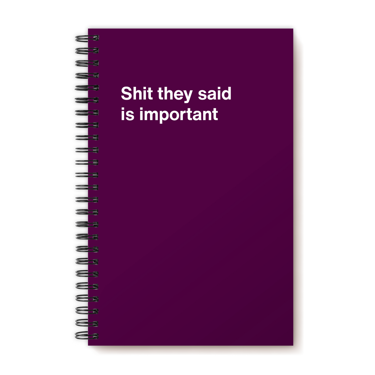 A funny notebook from WTF Notebooks® entitled "Shit they said is important"