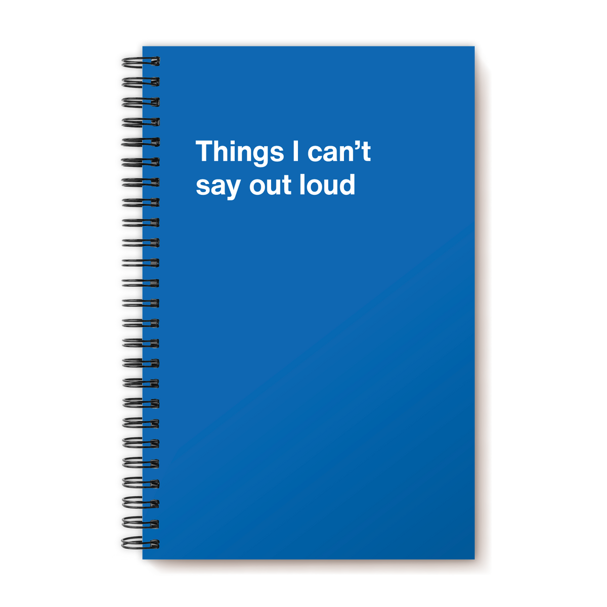 A funny notebook from WTF Notebooks® entitled "Things I can’t say out loud"