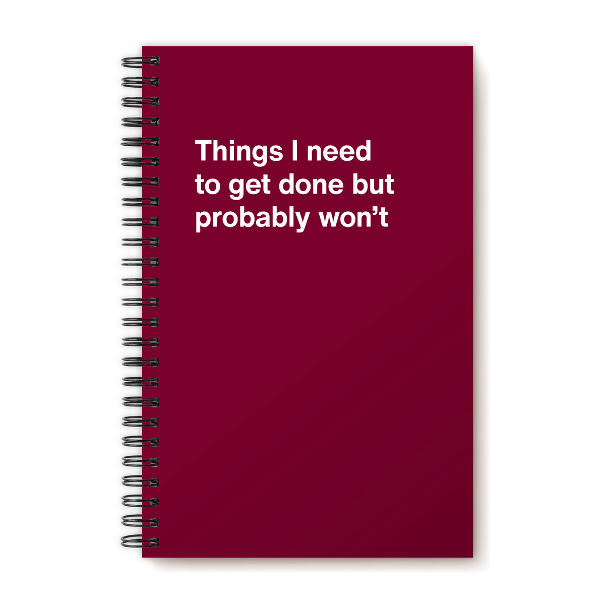 A funny notebook from WTF Notebooks® entitled "Things I need to get done but probably won’t"