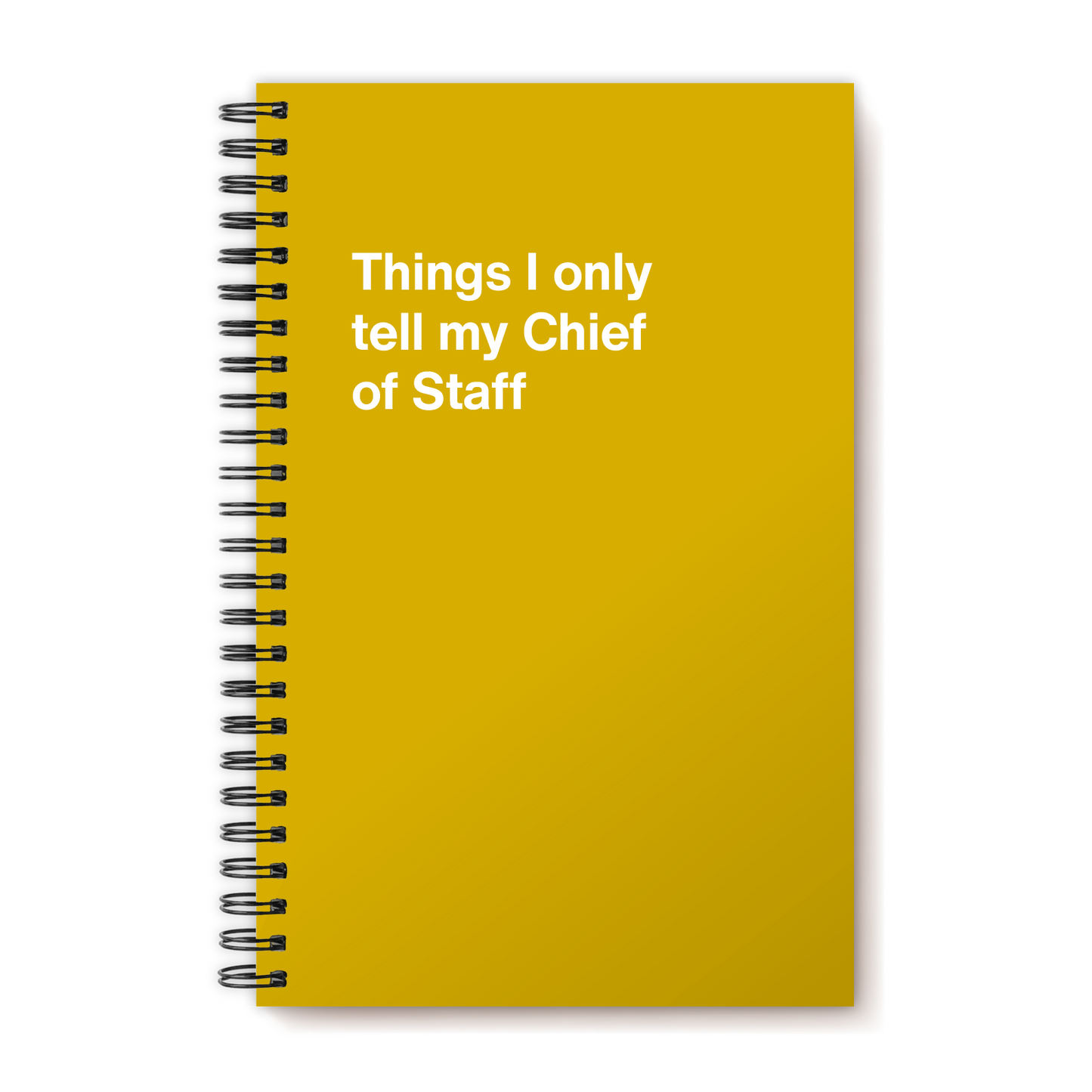 
                  
                    A funny notebook from WTF Notebooks® entitled "Things I only tell my Chief of Staff"
                  
                