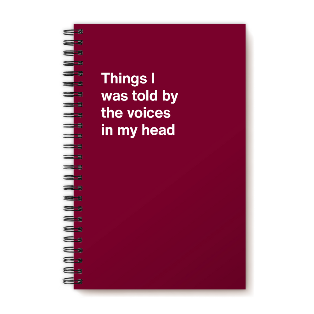 A funny notebook from WTF Notebooks® entitled 